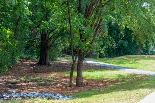 Wooded Areas
