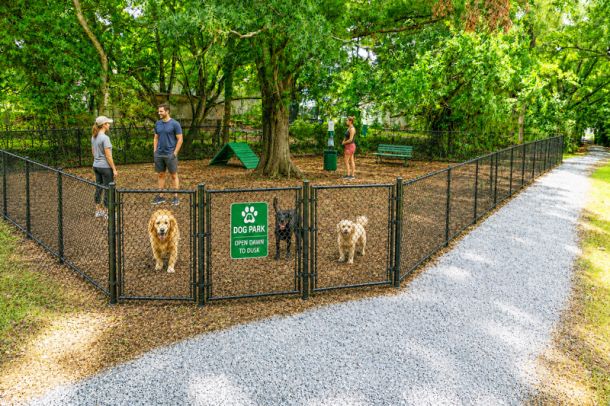 Dog Park